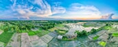 A panoramic view of soybean fields stretching across Rio Grande do Sul at sunset.