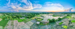 A panoramic view of soybean fields stretching across Rio Grande do Sul at sunset.
