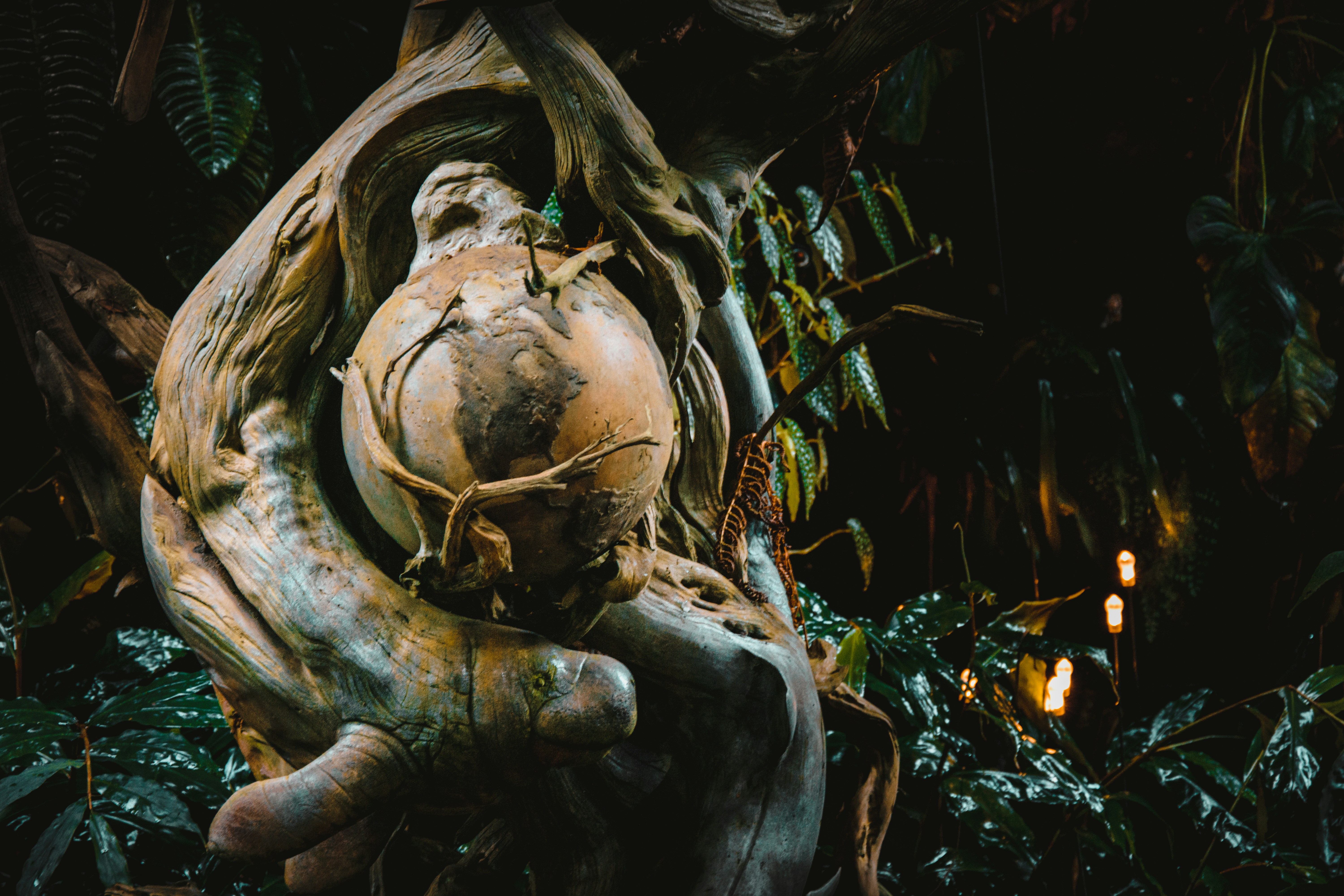 Photo by jobsavelsberg