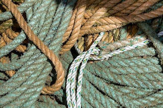 A complex intertwining of ropes in various colors, textures, and thicknesses. The ropes appear worn, with frayed ends and a rugged surface texture. They are laid out in a somewhat chaotic but visually interesting arrangement.