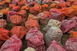 Several large mesh bags filled with potatoes are arranged closely together on a patch of soil. The bags are primarily orange, red, and white, and they appear to be made from a coarse fabric. The setting seems to be outdoors, possibly a farm or market, with some greenery visible in the background.
