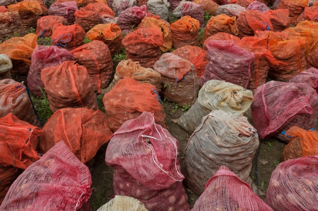 Agricultural produce like potatoes and onions packed in sturdy polypropylene bags on a farm