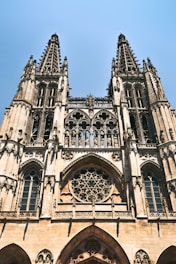 Burgos en TaxII