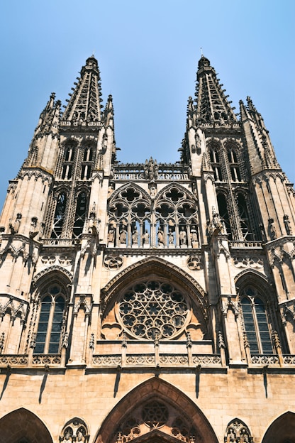 Burgos en TaxII