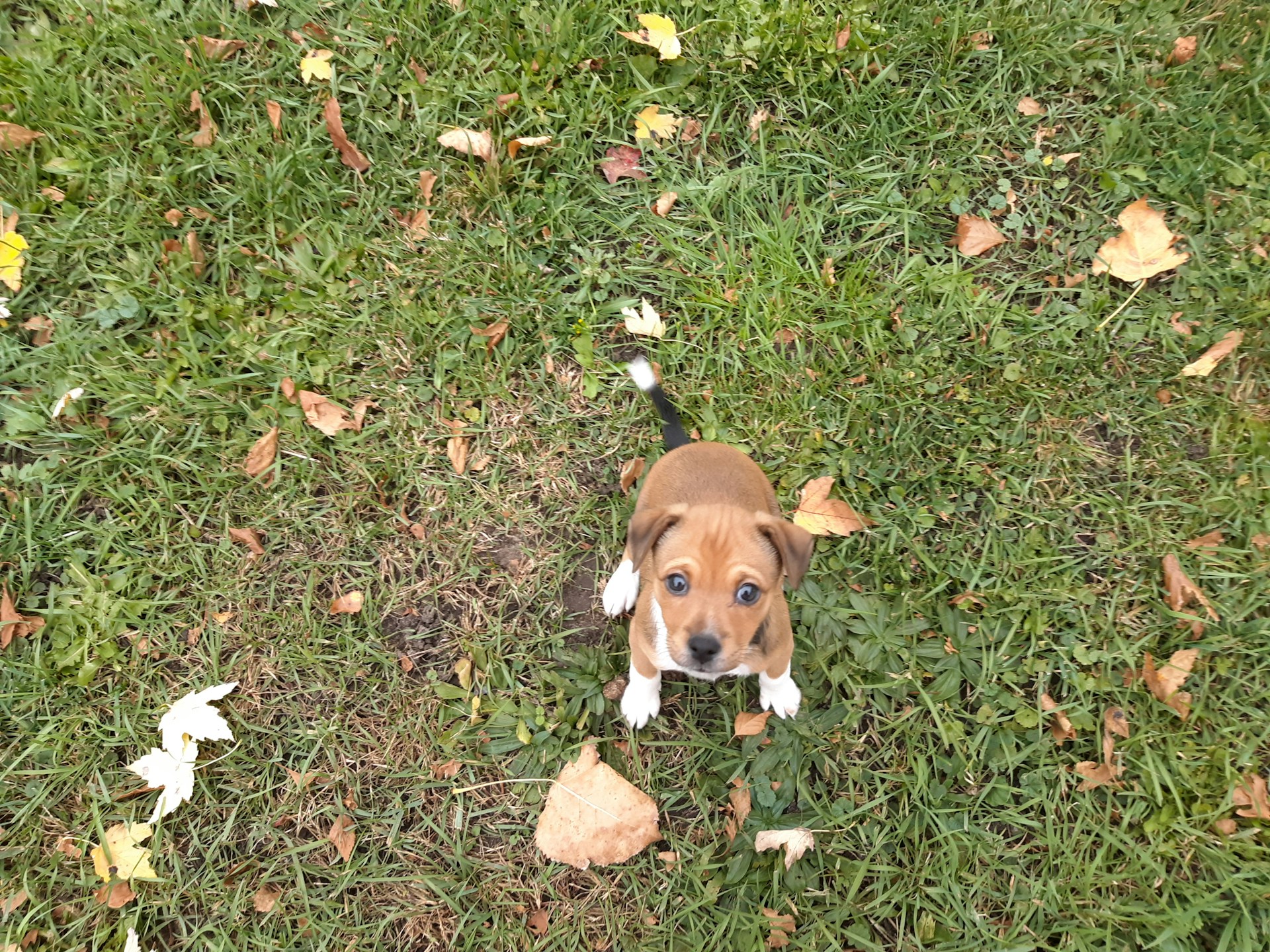 gray computer monitor