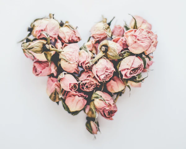 Buquê de flores — Mirela Flores