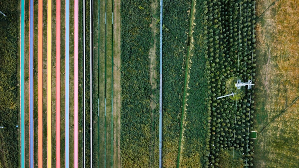 a road with trees on the side