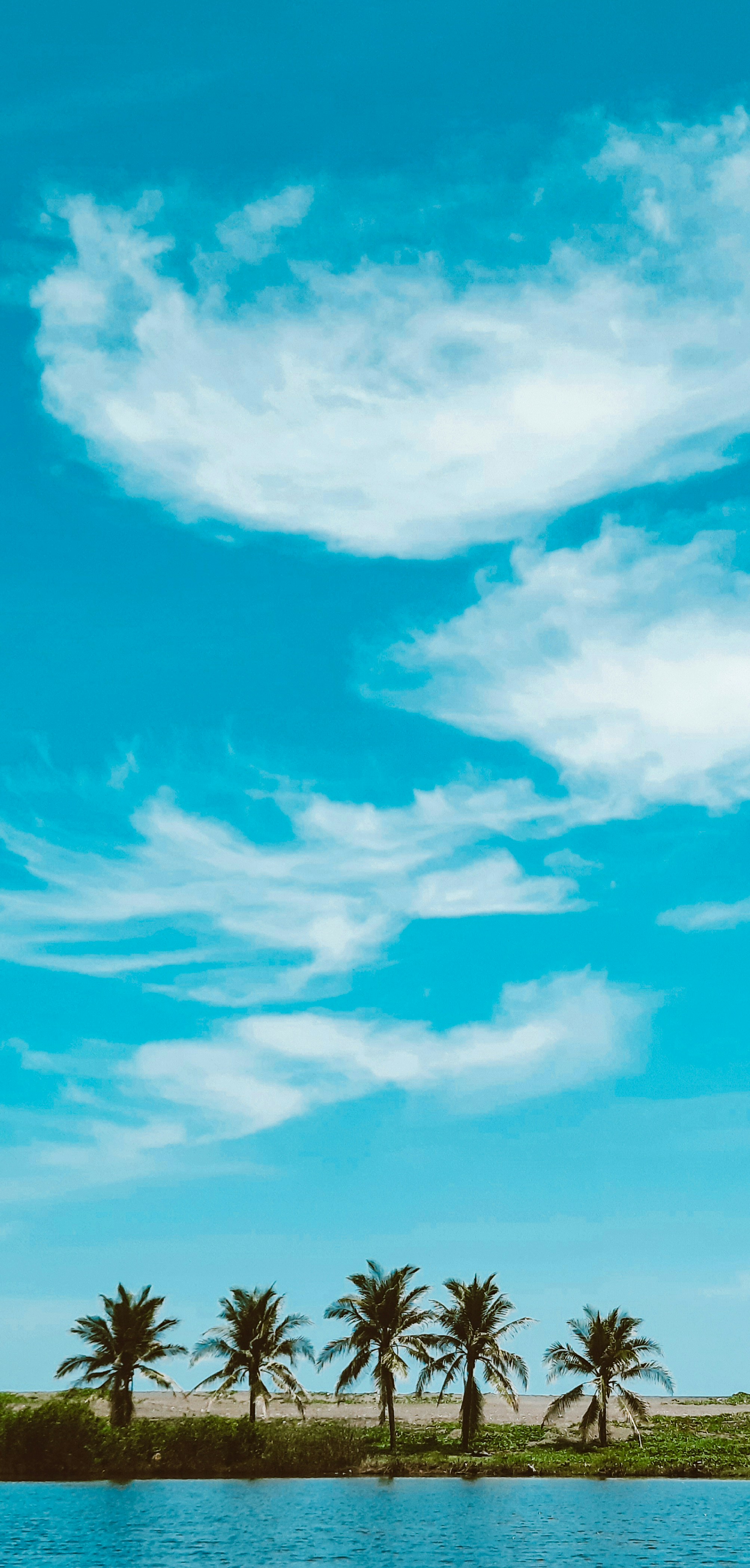 Photo by stephenmont