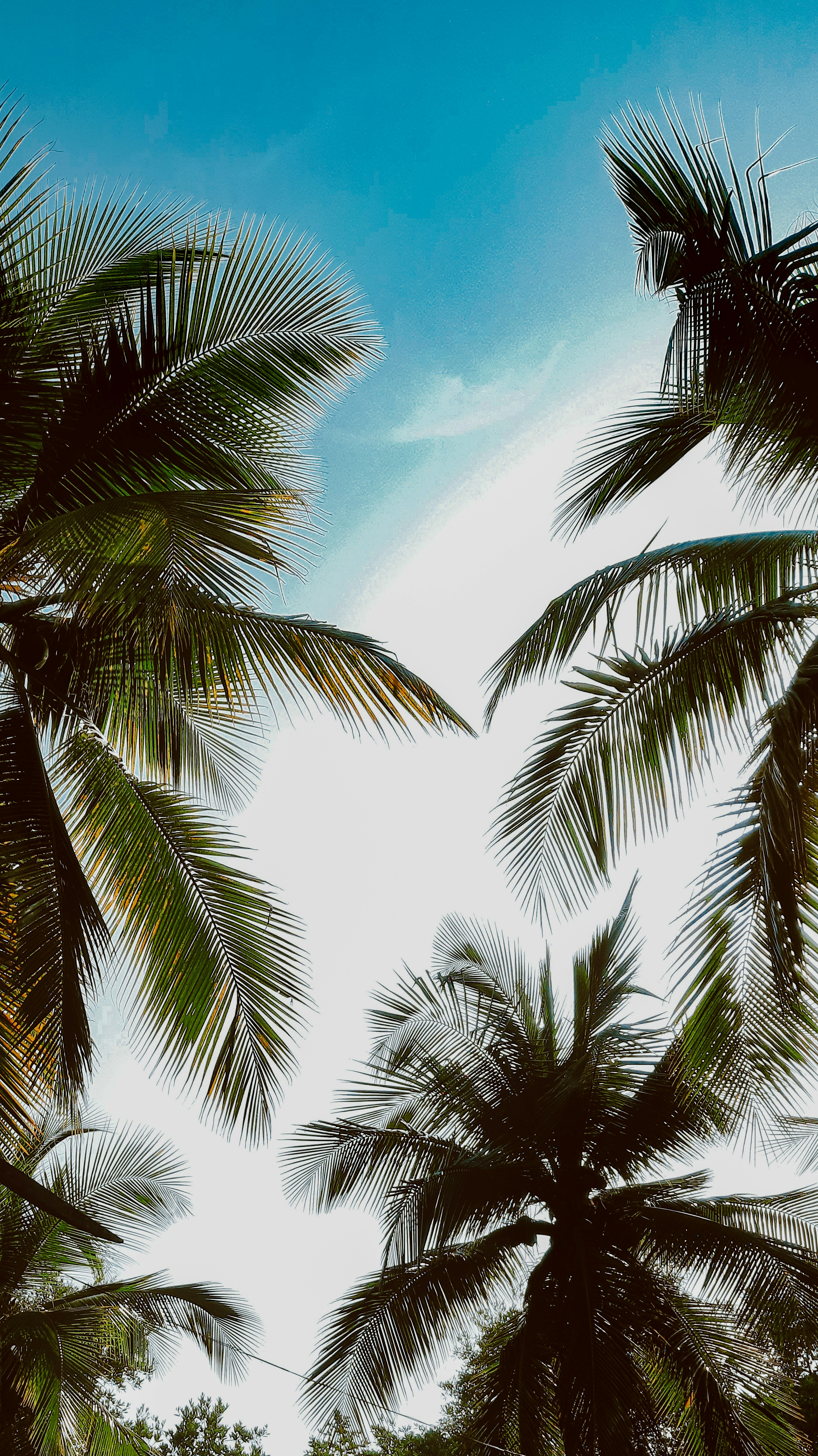 Photo by stephenmont