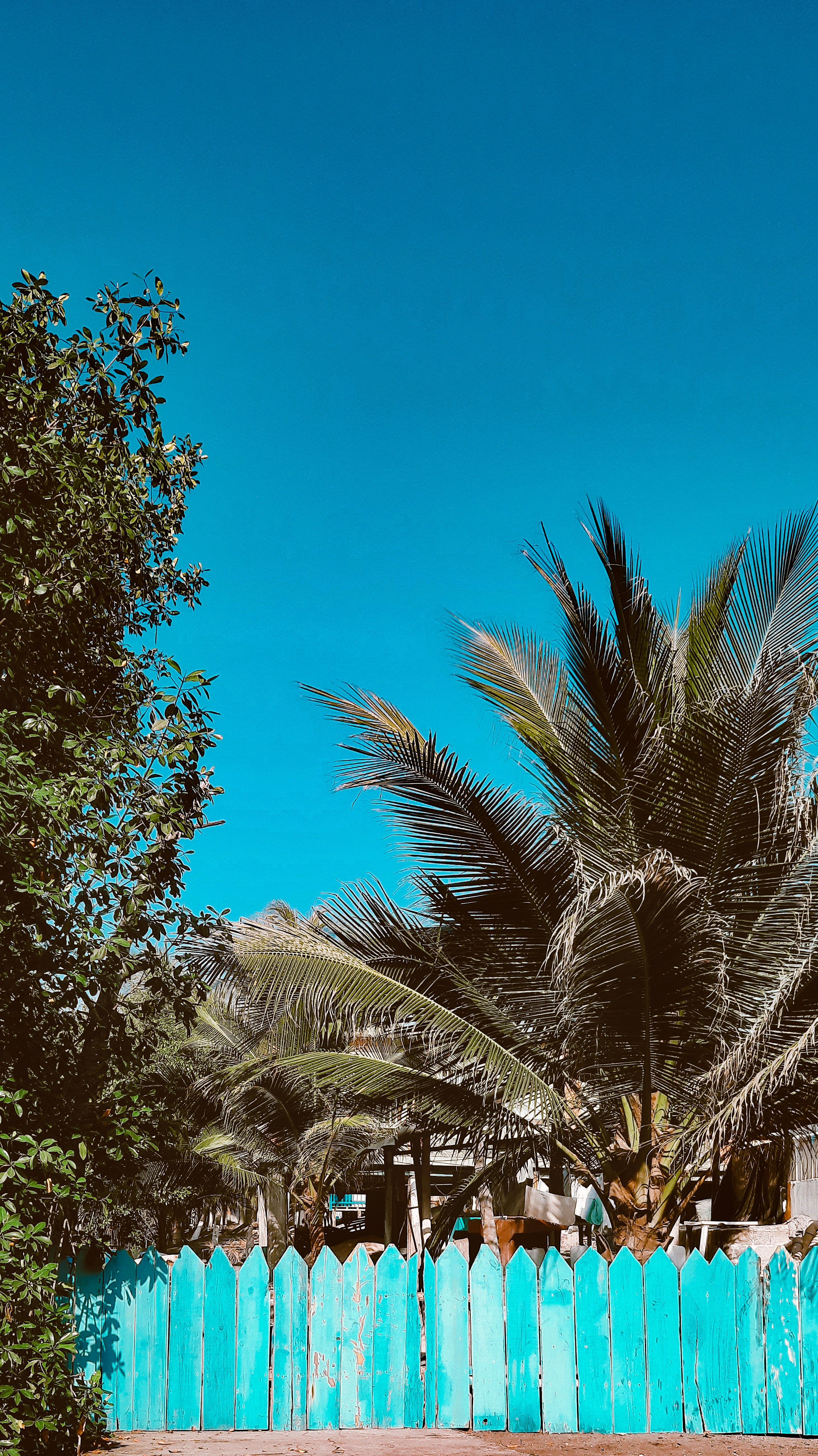 Photo by stephenmont