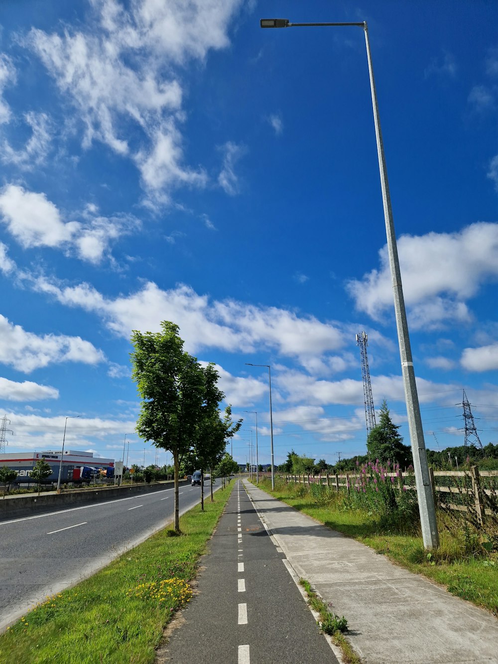 une route avec un arbre et des lignes électriques sur le côté