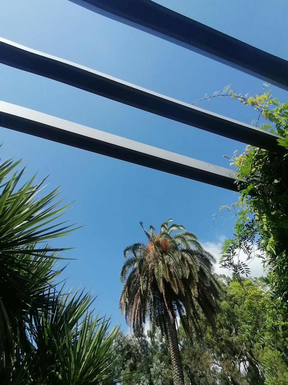 a blue bridge with trees