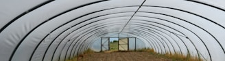 A long, empty tunnel-shaped greenhouse with a curved metal frame and translucent covering. The inside ground is bare soil with some patches of grass along the sides. In the distance, an open door reveals an outdoor field and sky.