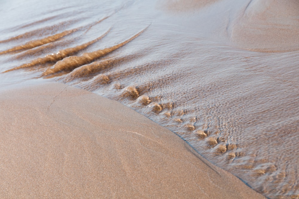 Una playa de arena con algunas huellas