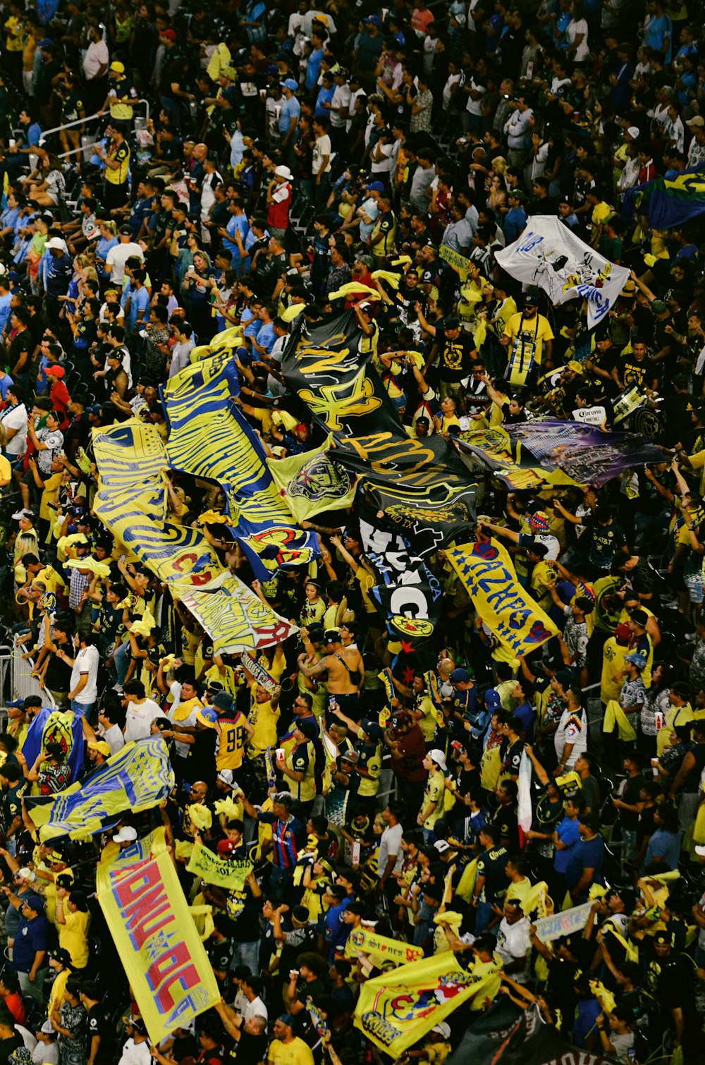 a crowd of people holding flags