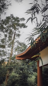 A traditional building roof with a dark wooden structure is seen beside lush green trees and leaves. The intricate roof design is accented against a serene sky, creating a peaceful, natural atmosphere.
