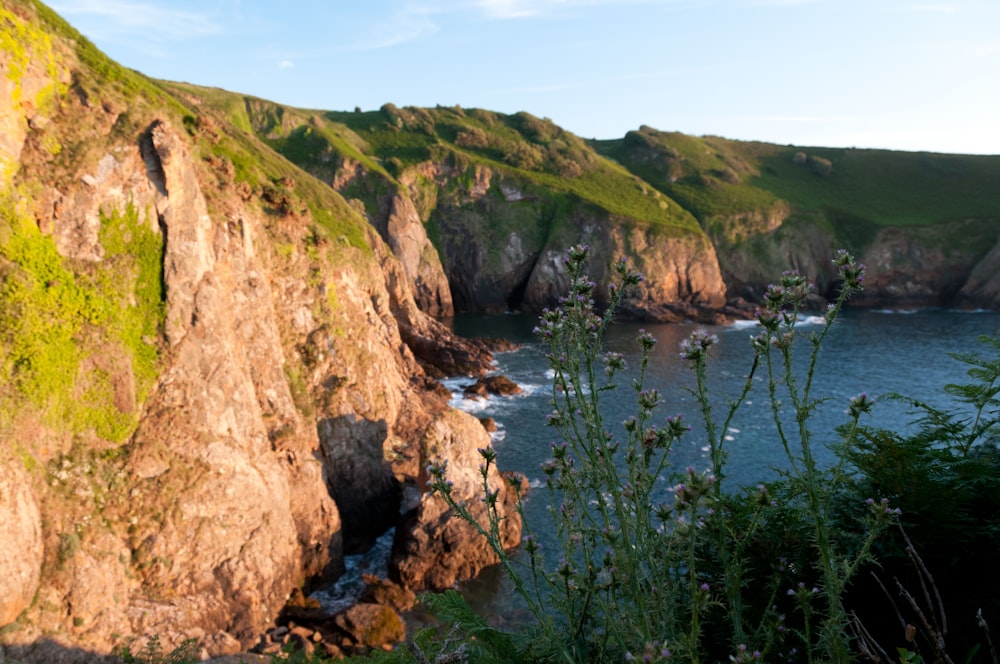 a body of water with cliffs and plants around it