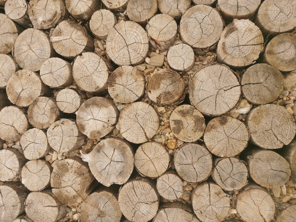 a pile of coffee beans