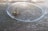 A wasp is trapped under a clear plastic cup placed on a wooden surface. The wasp appears to be trying to escape, with its antennae and legs visible.
