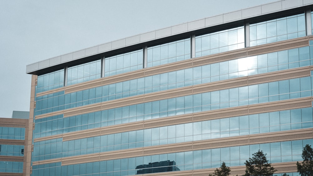 a building with many windows