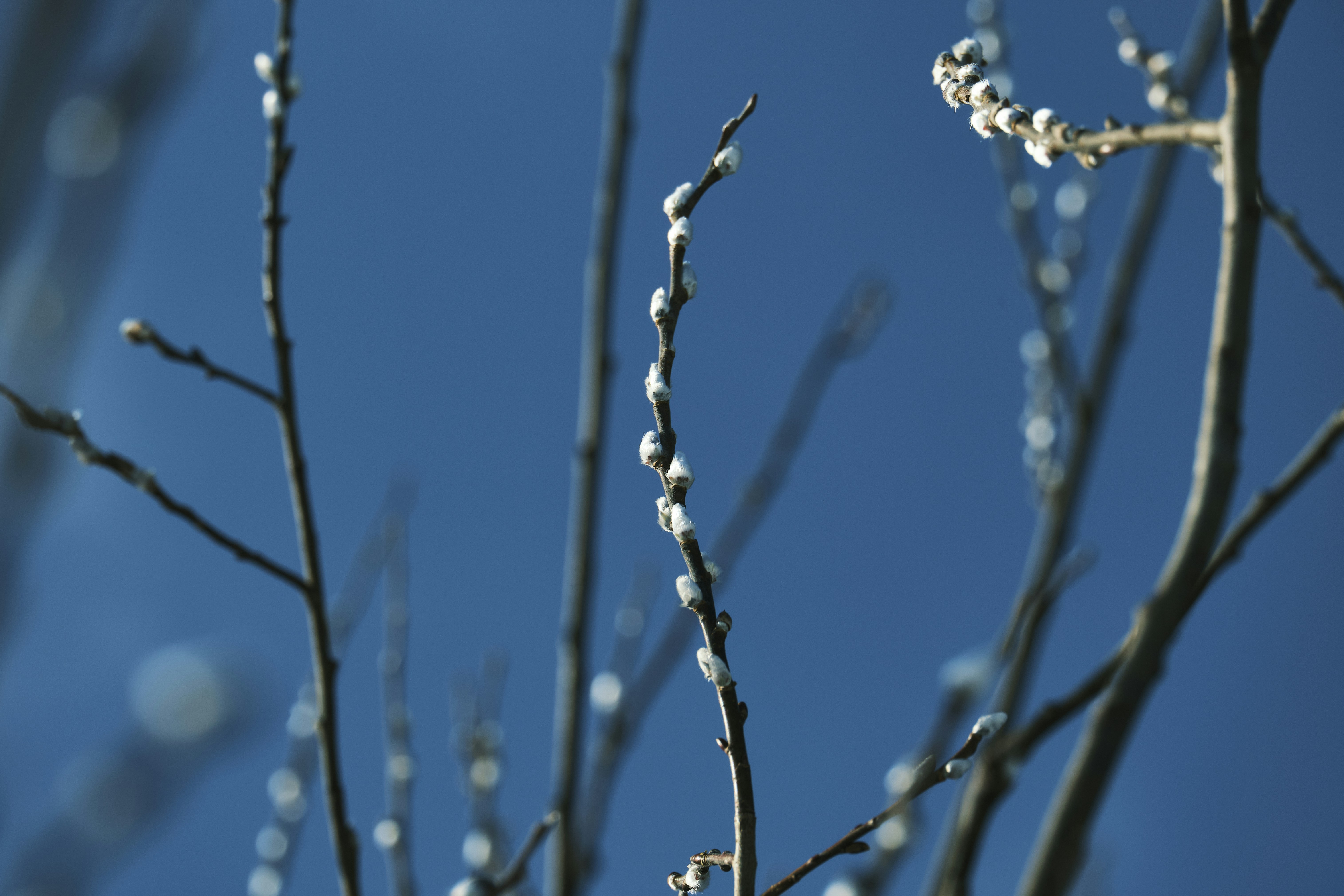 Photo by kazusaki_sagar