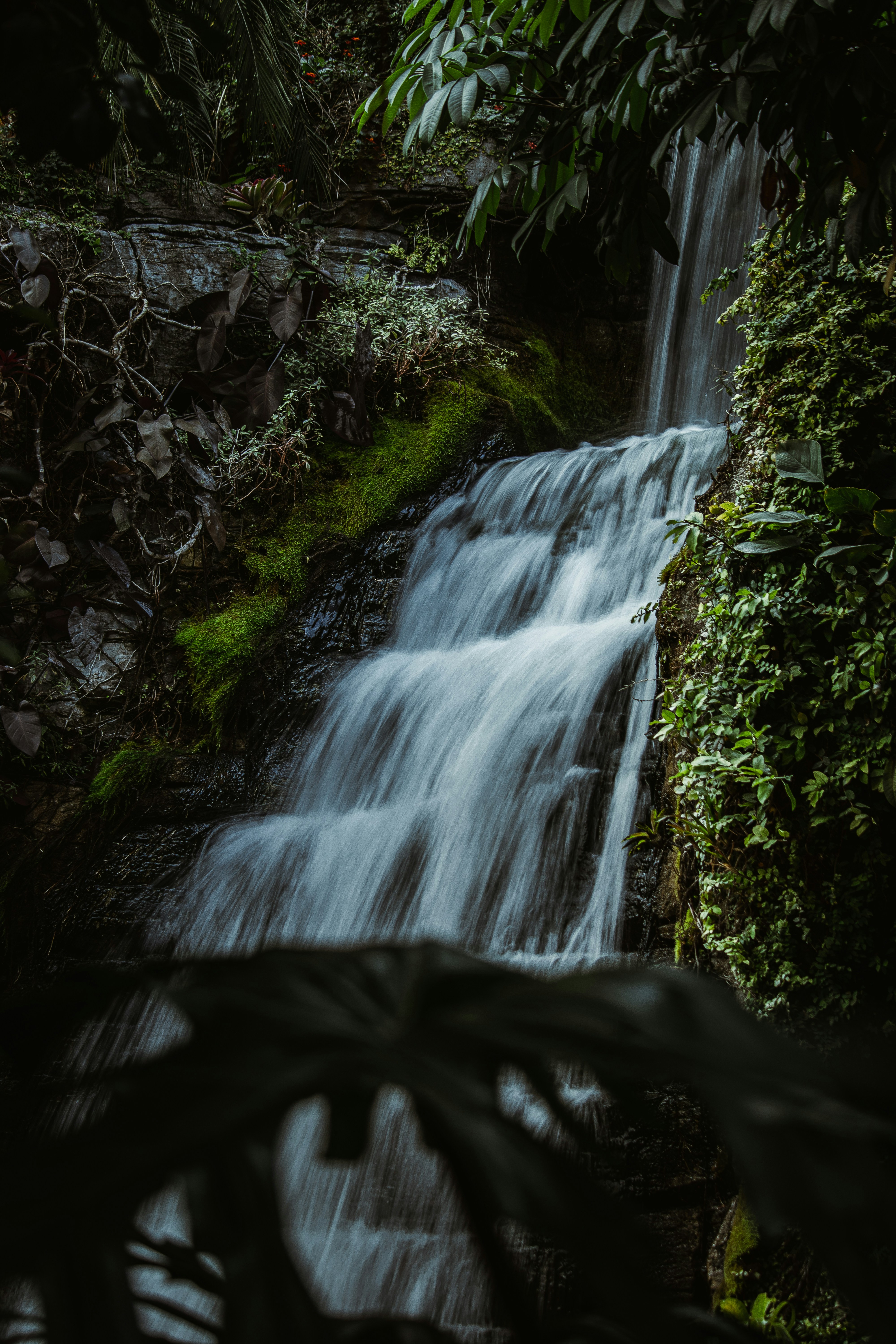 Photo by brice_cooper18