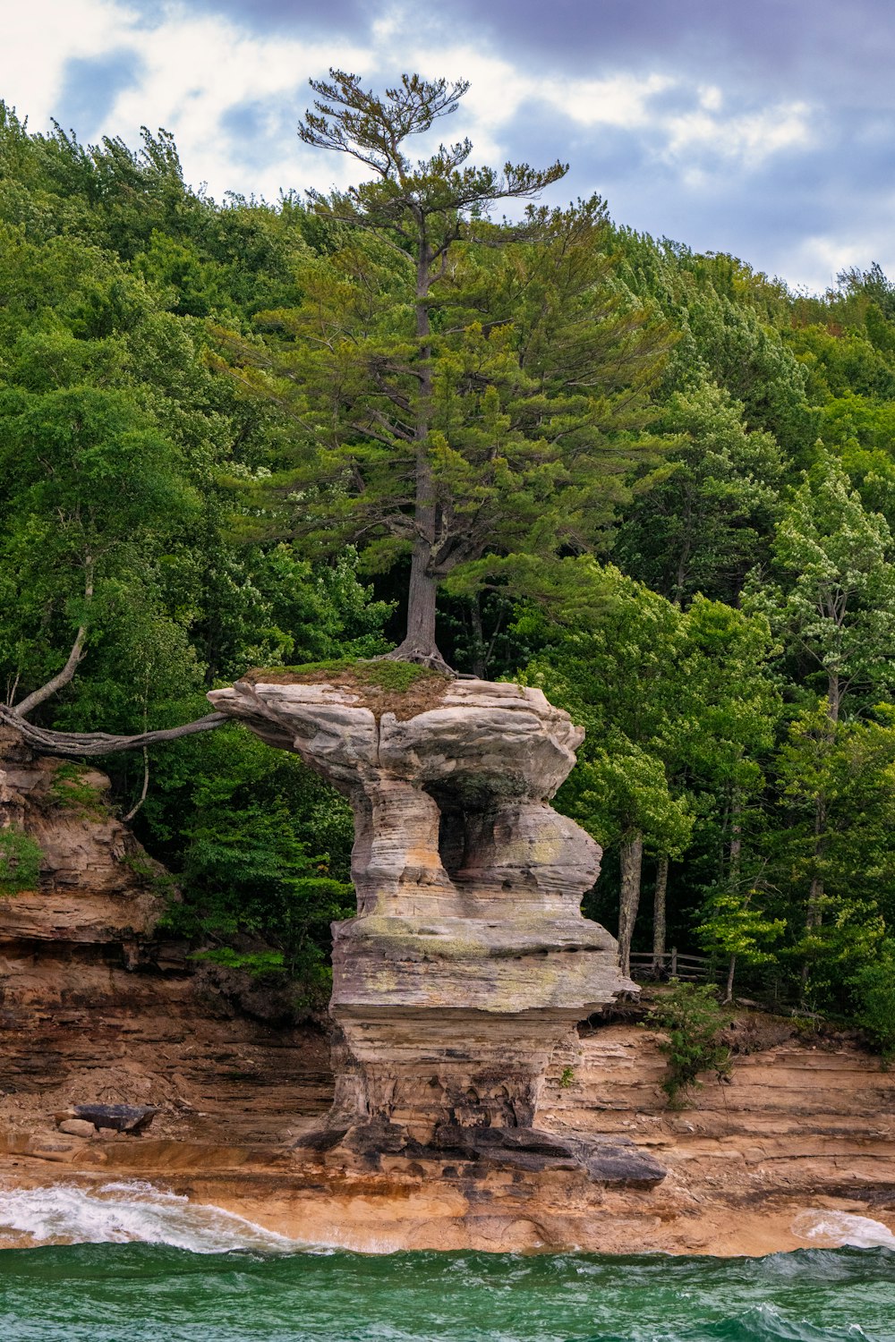 a tree on a rock with Manitou Incline in the background