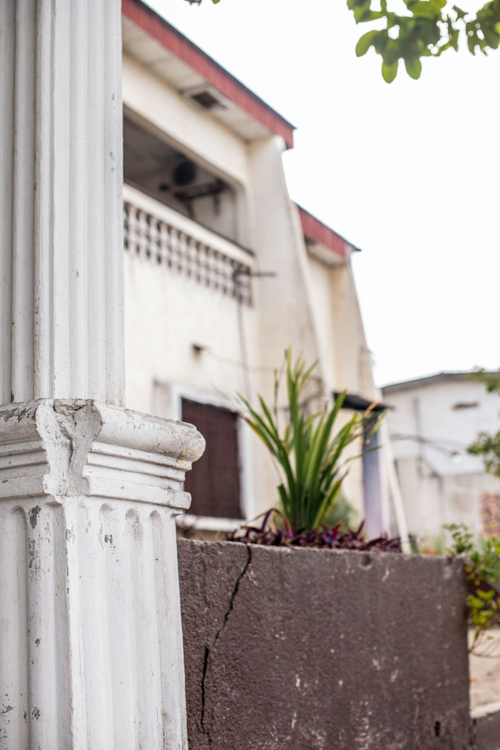 a planter box outside a building