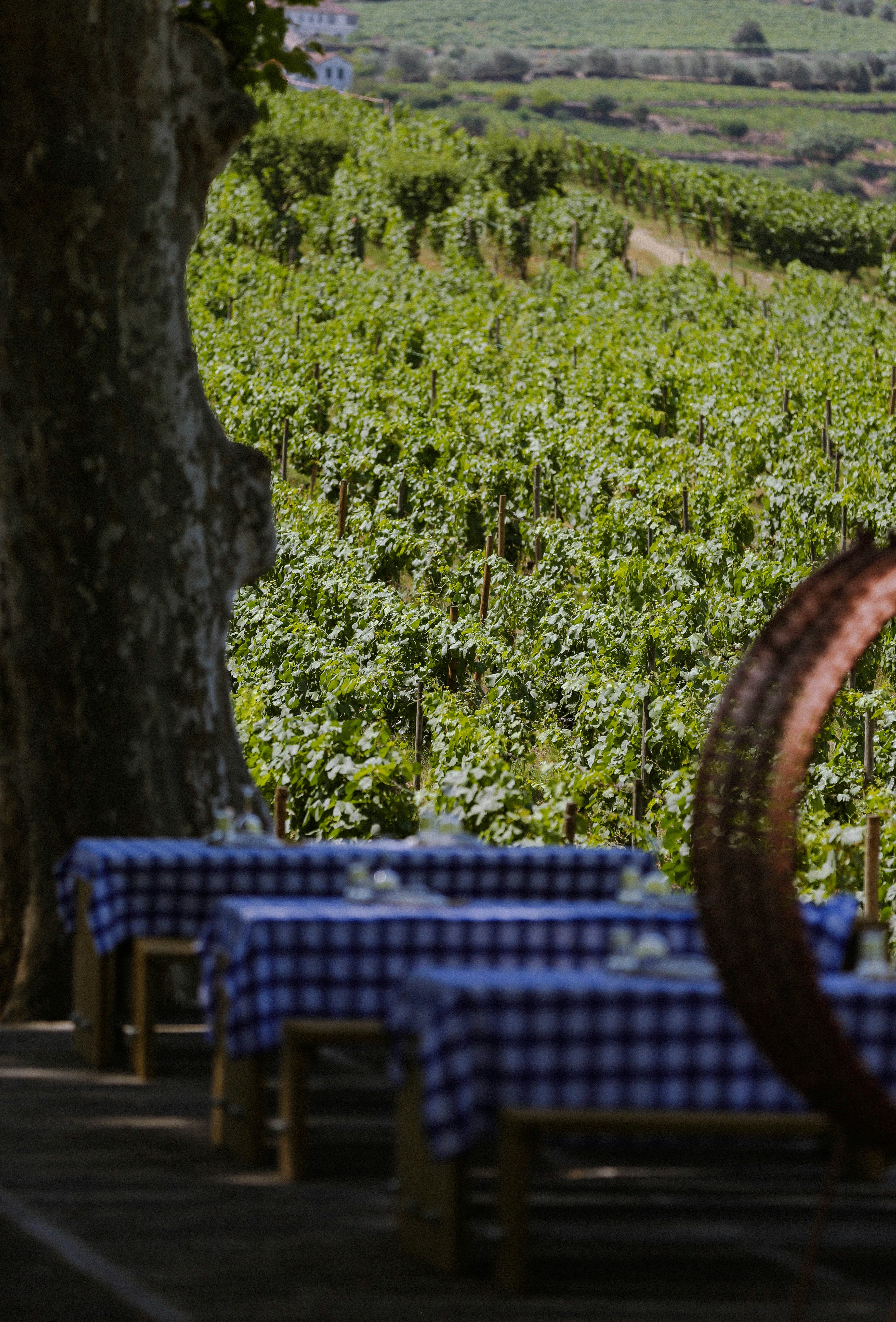 Comfortable Dining (€60–€120+ per person)