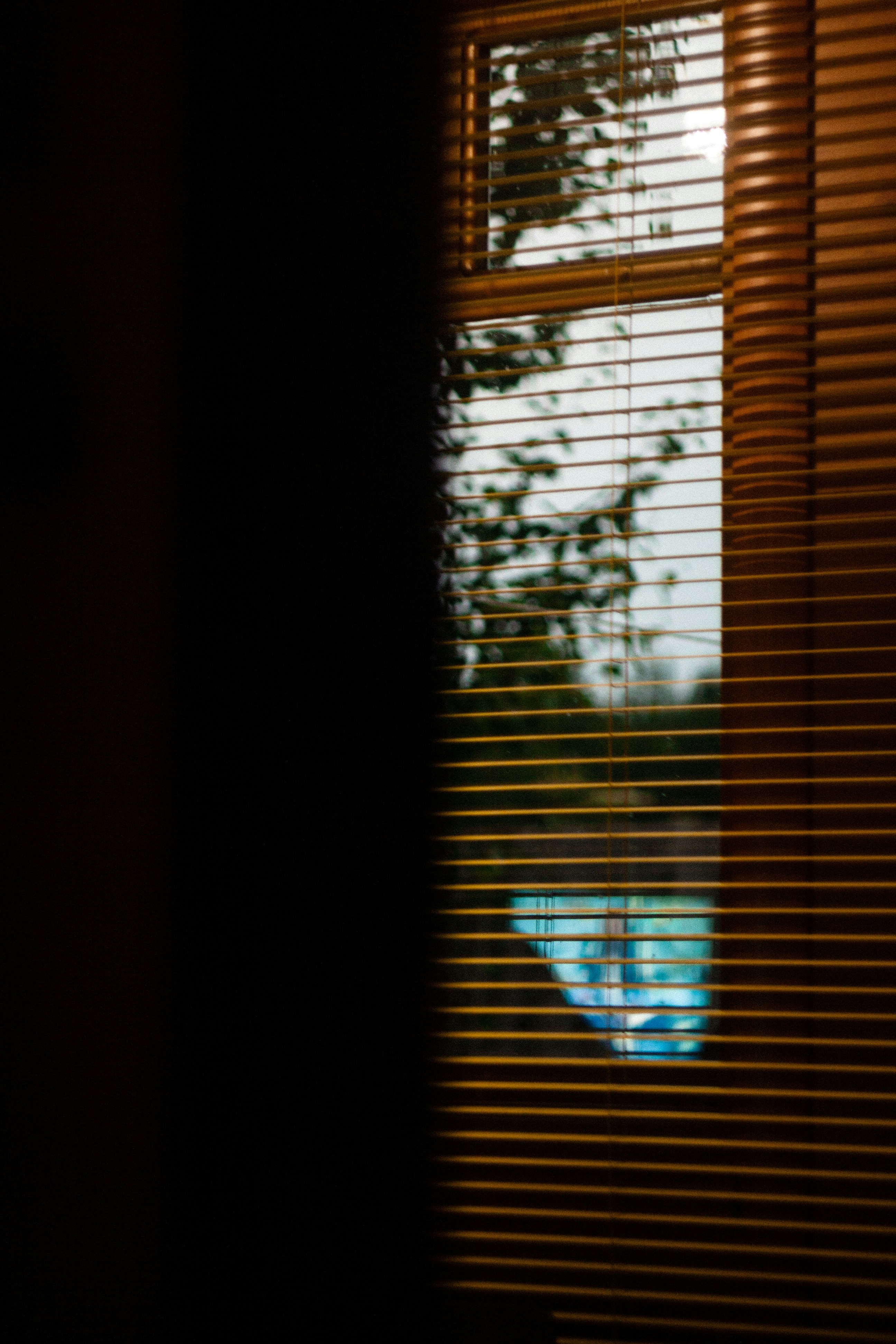 Photo by antohakraev