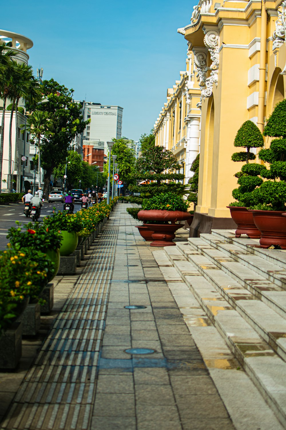 una acera con plantas y árboles