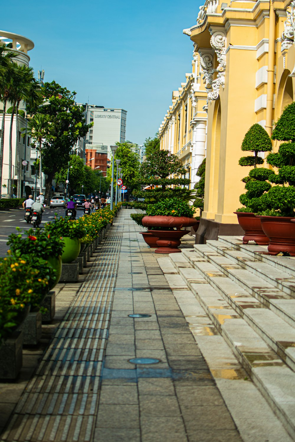 a sidewalk with plants and trees