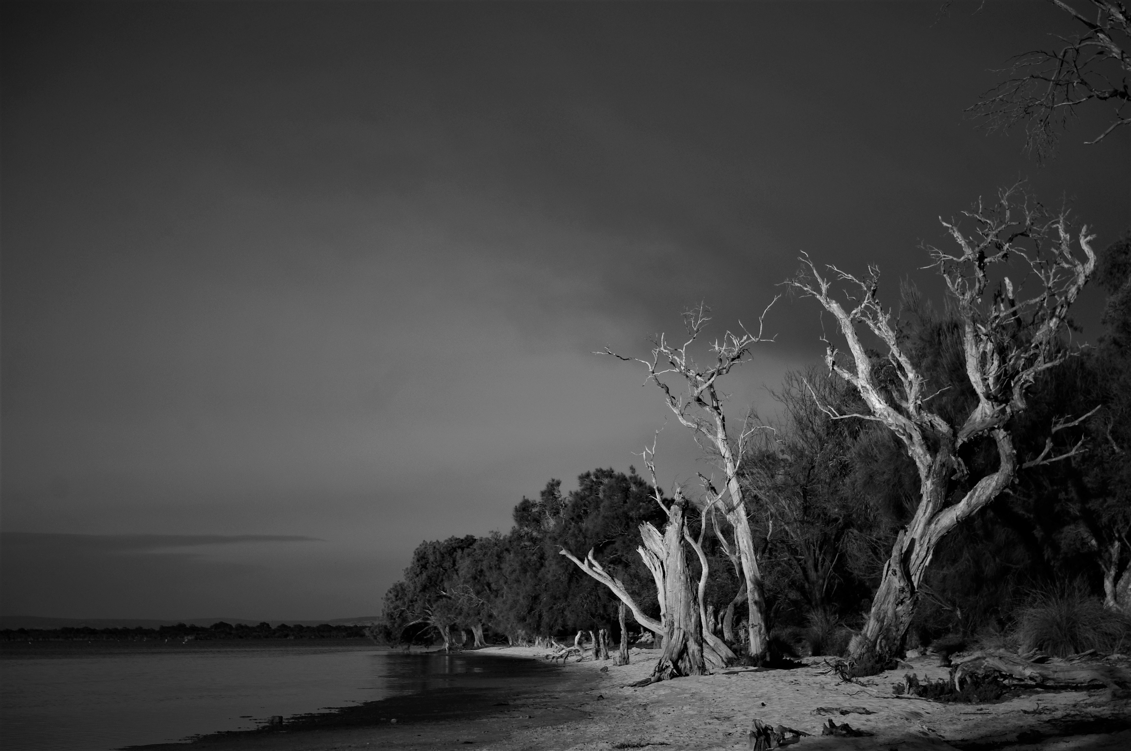 Photo by photoken123