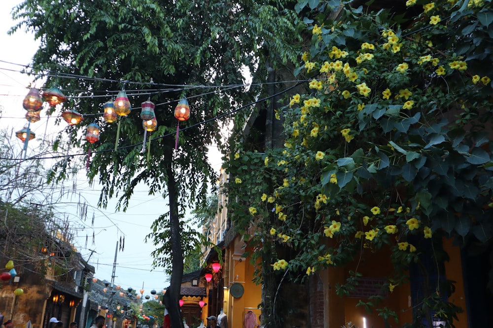 a street with trees and buildings