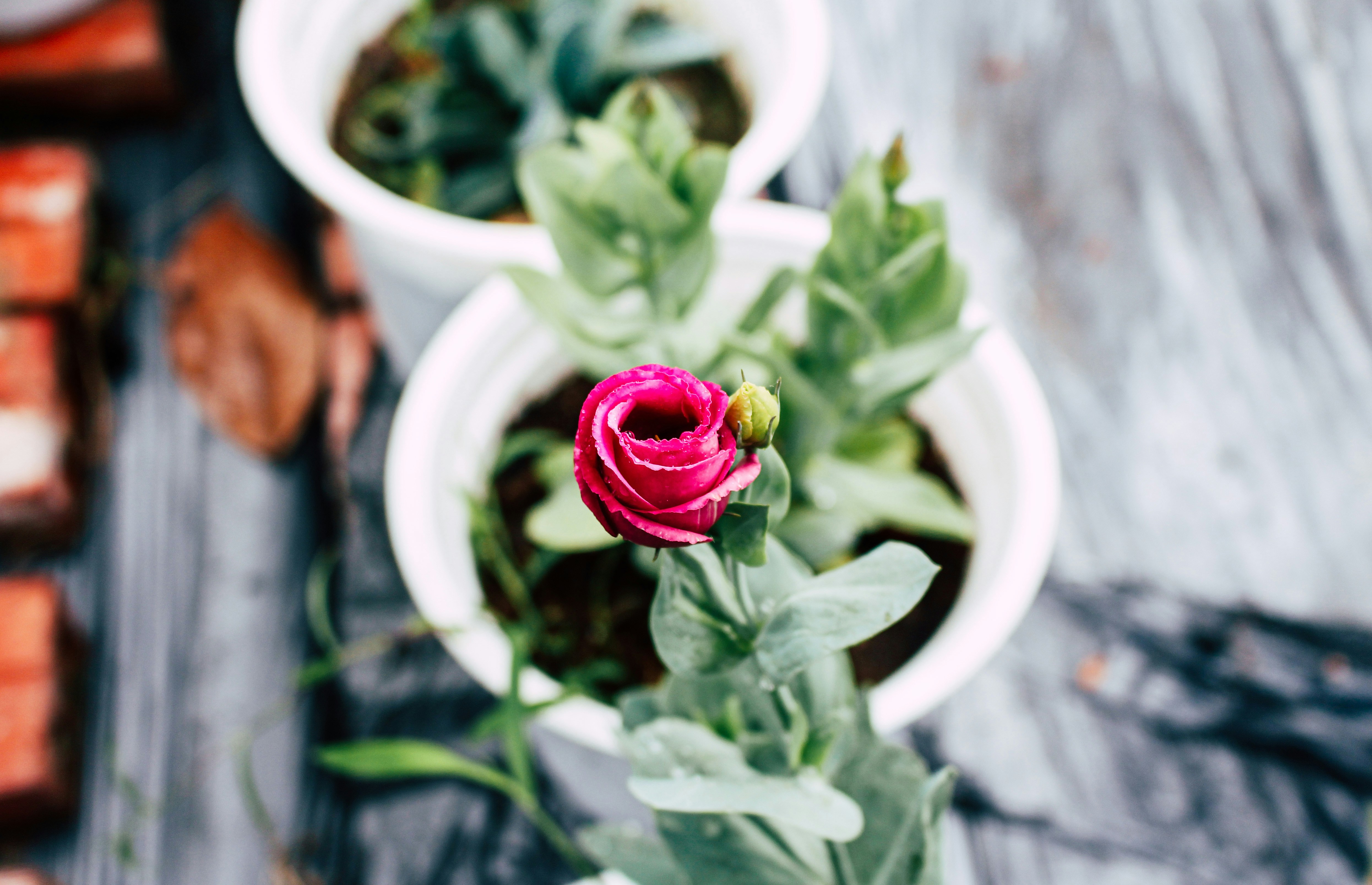 Photo by tieukhoimai