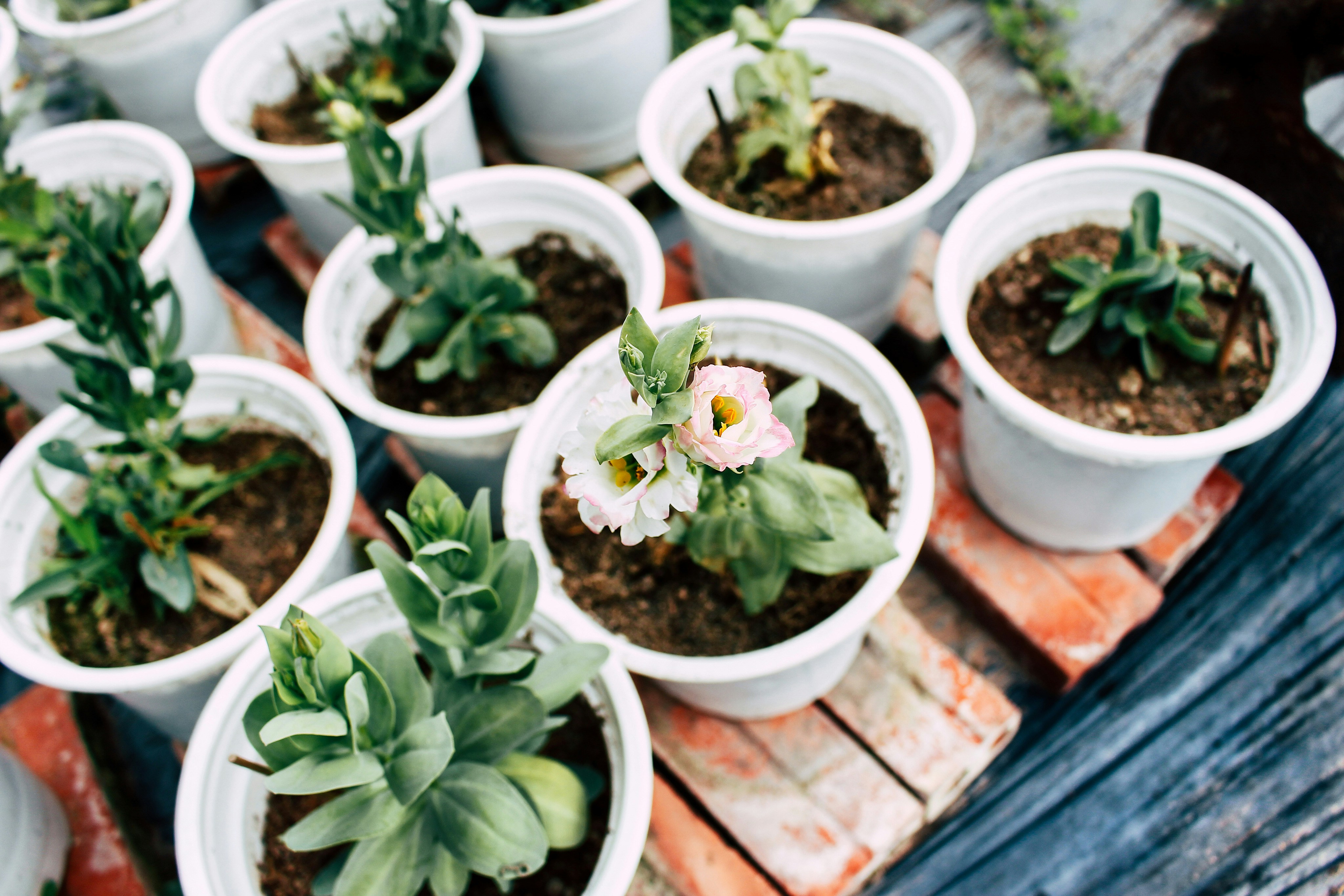 Photo by tieukhoimai