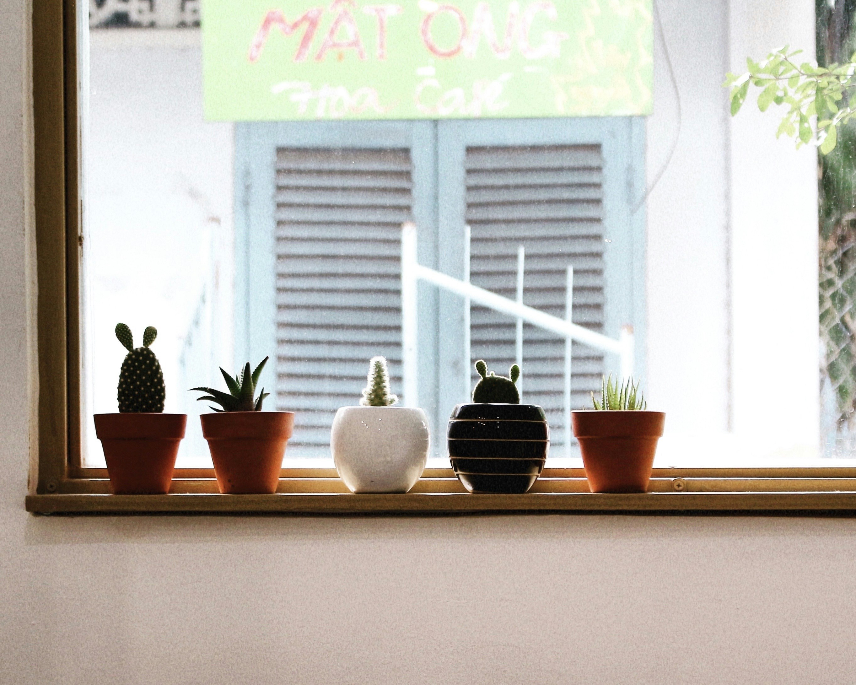 Photo by tieukhoimai