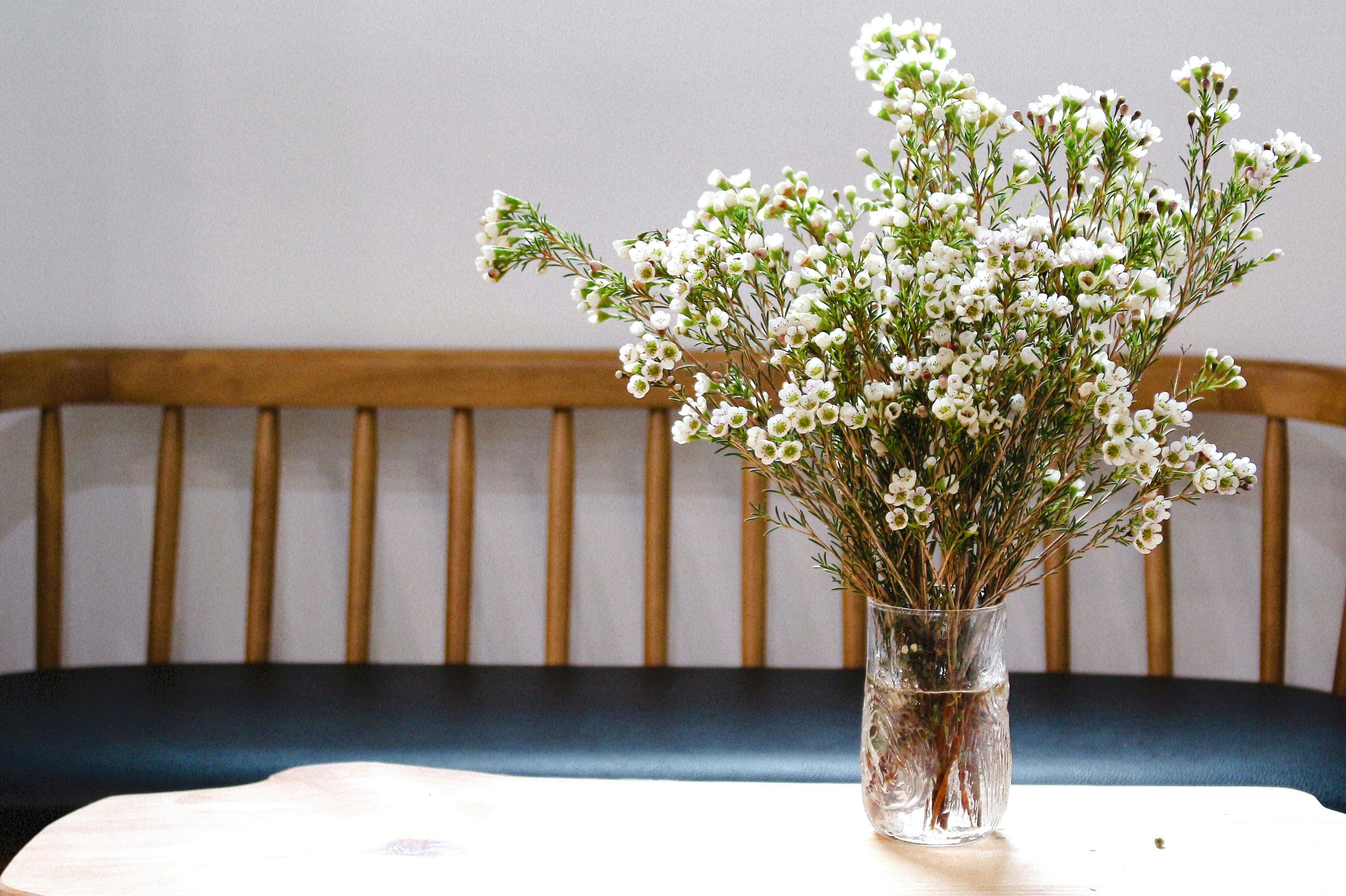 Photo by tieukhoimai