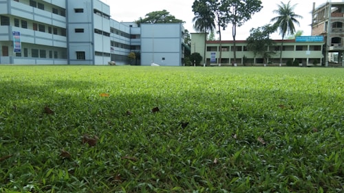 A large grassy area is bordered by a school complex with multiple buildings. These structures are multistory, painted in light colors, and have several windows. The greenery is lush, indicating a well-maintained lawn. Palm and other large trees can be seen near the buildings, providing a natural backdrop.
