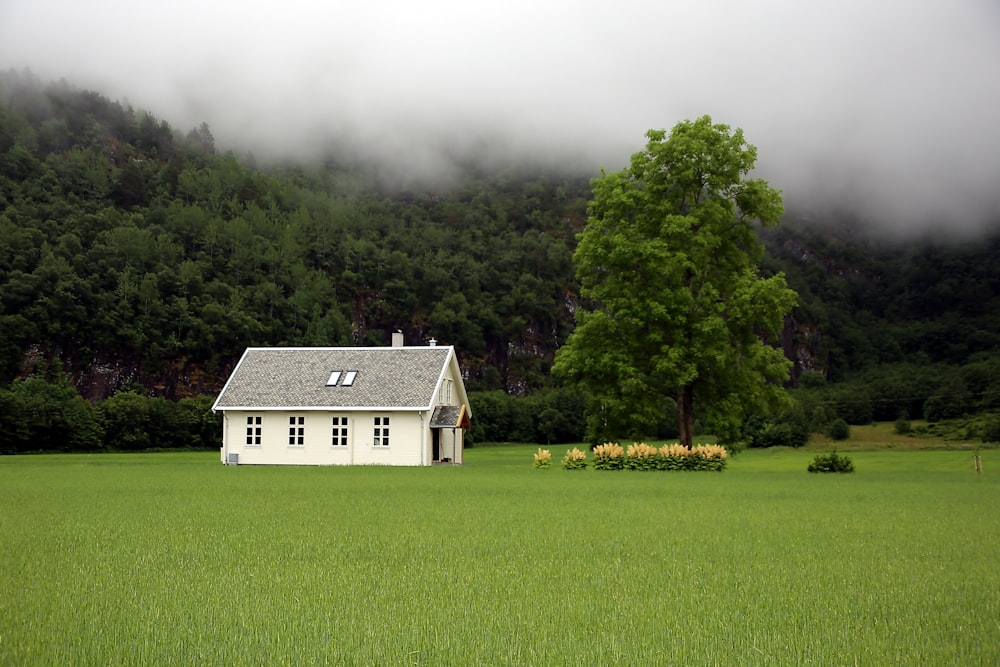 a house in a field