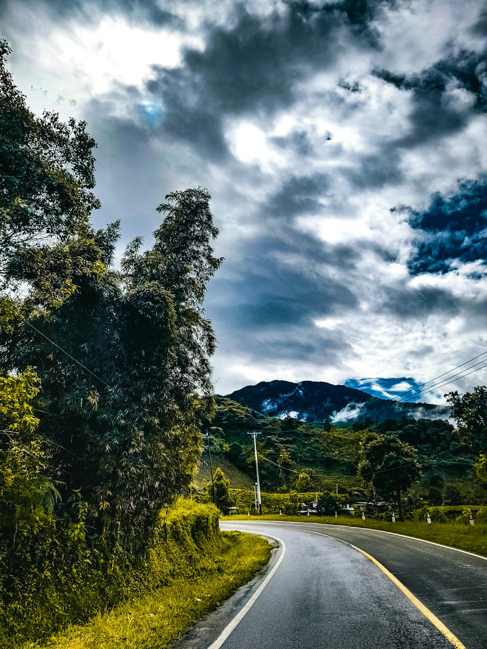 a road with trees and mountains in the background