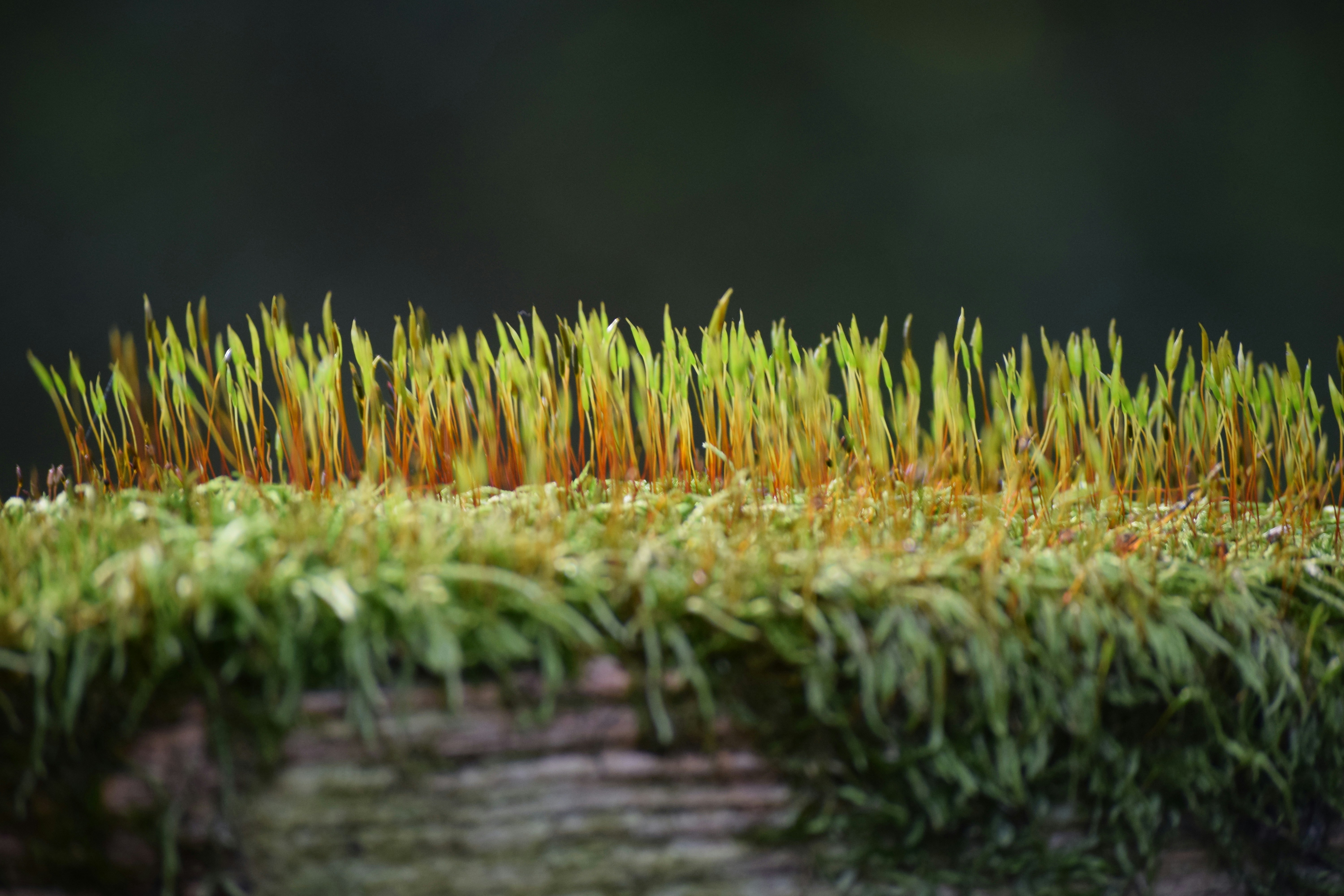 Photo by praswinprakashan