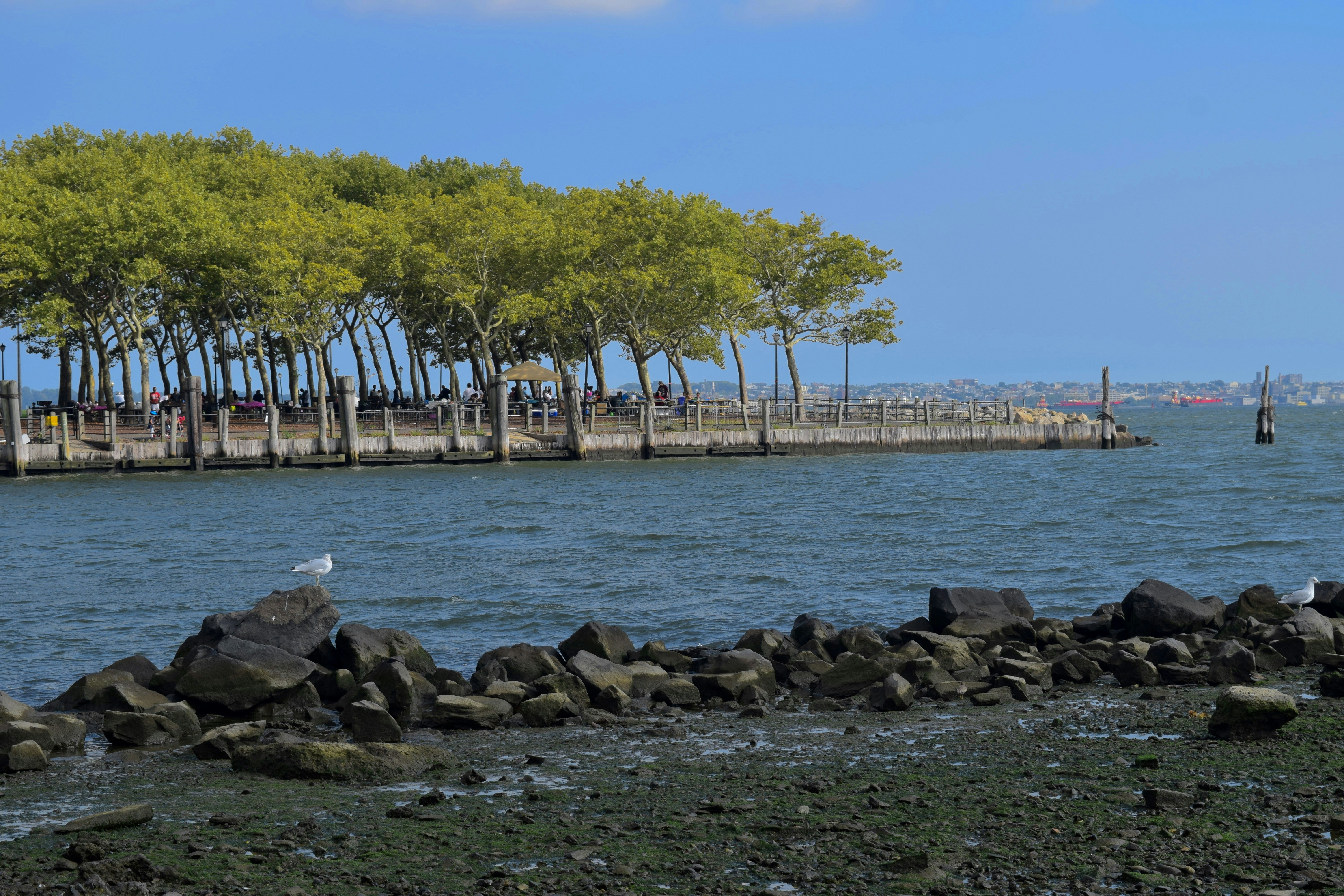 Liberty Park