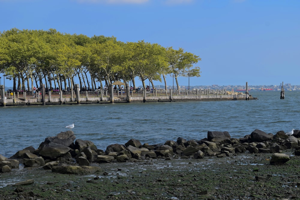 Una spiaggia rocciosa con alberi e un molo sullo sfondo