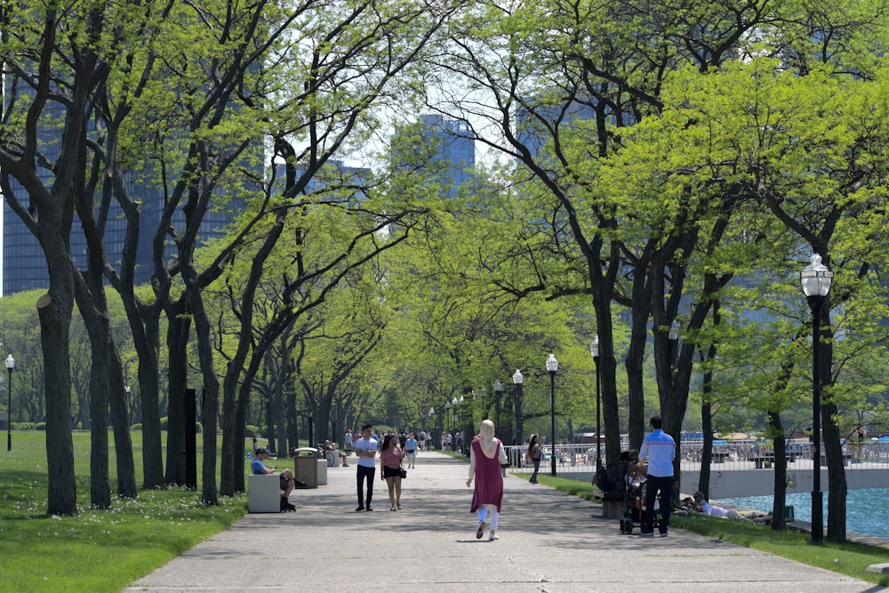 people walking on a path in a park