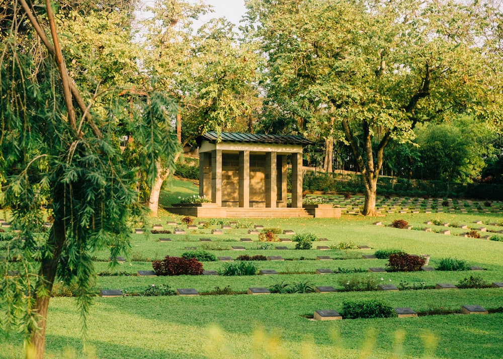 a pond with a building in the background