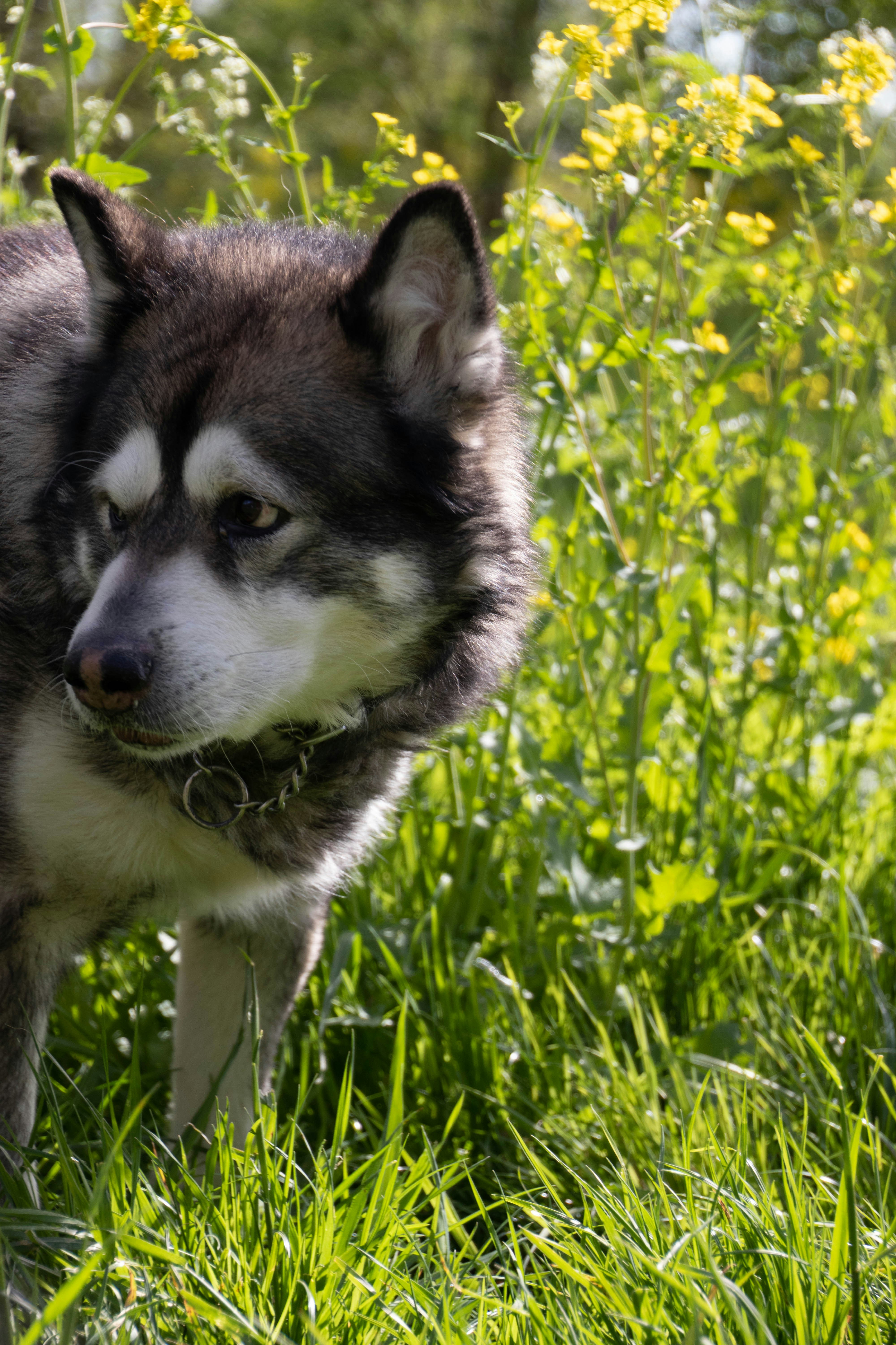 Photo by kasiamizeradief