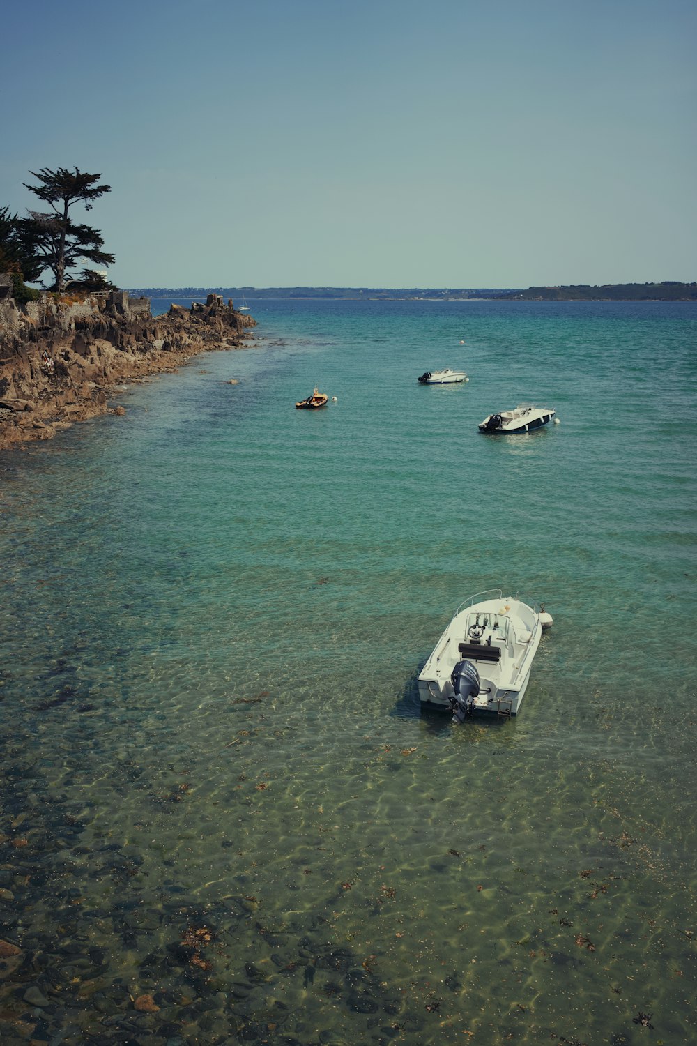 boats in the water