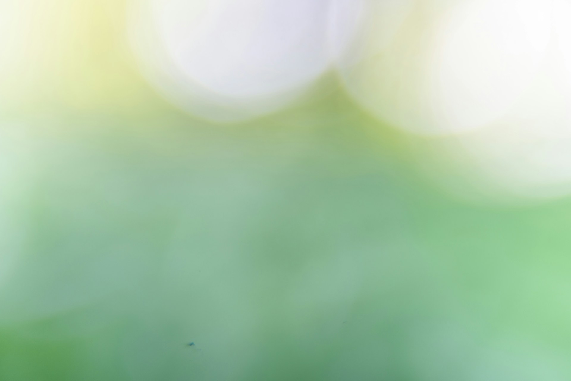 a blurry image of a green surface