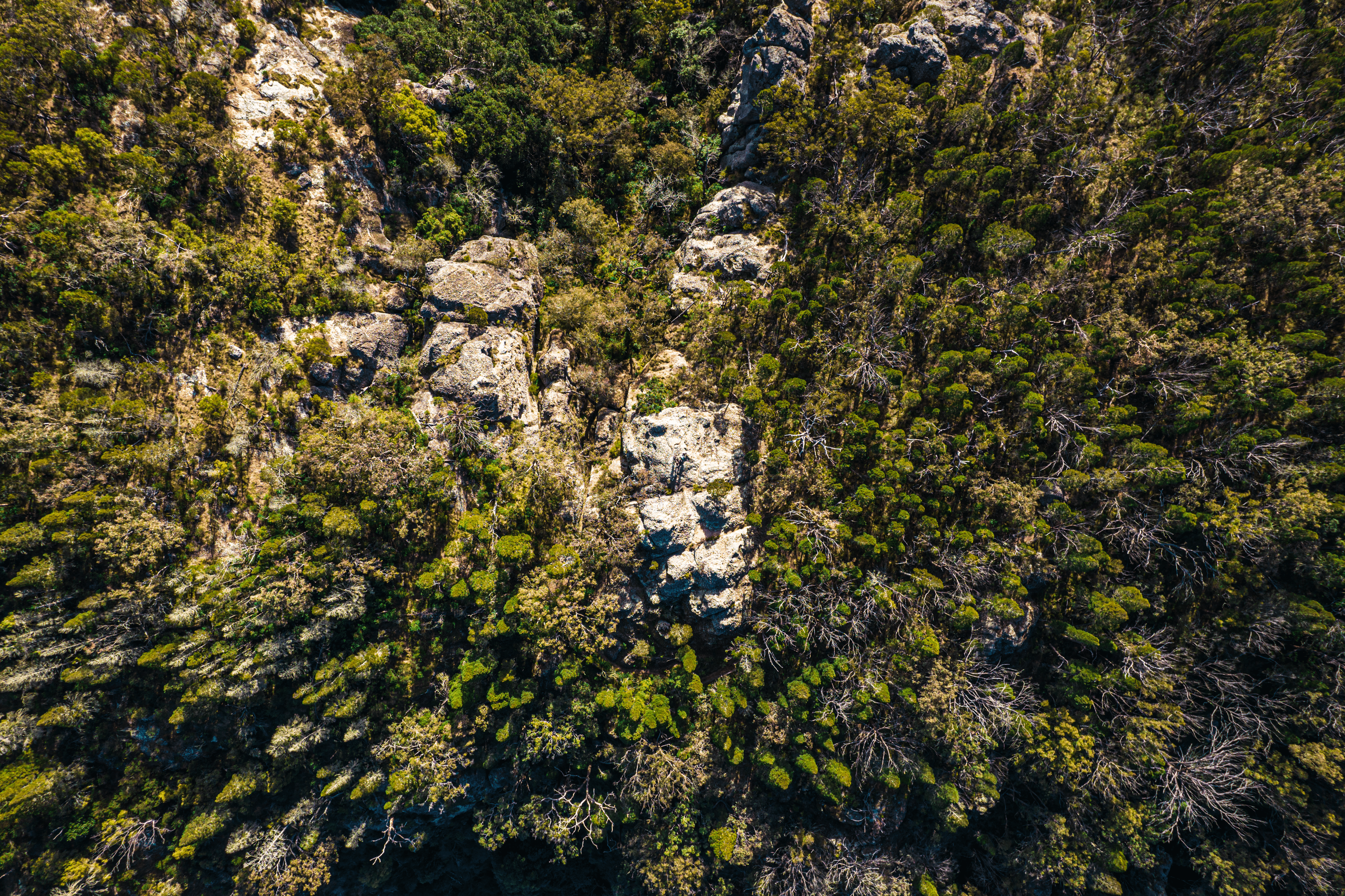 Photo by jamesmctaggart